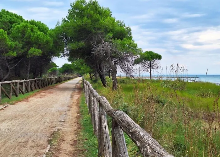 With Garden And Swimming Pool Access Apartment Bibione